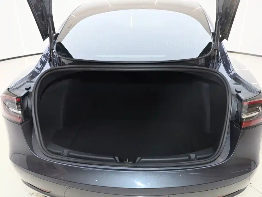 Tesla Model 3 — миниатюра 8