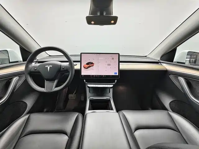 Tesla Model Y — миниатюра 5