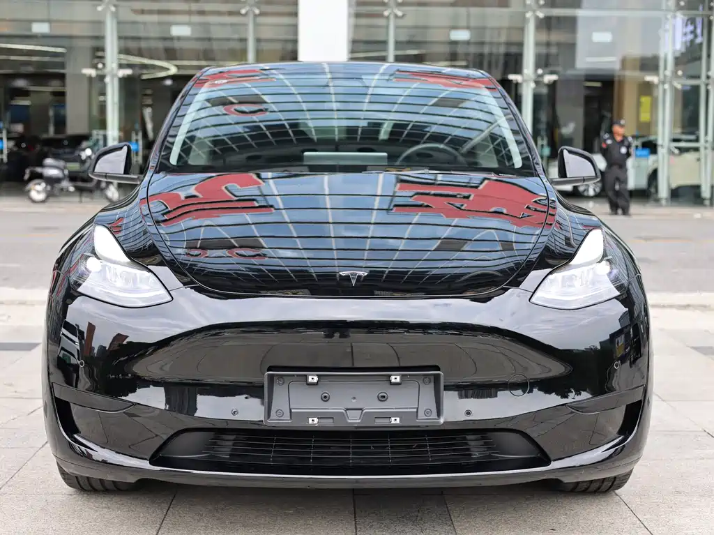 Tesla Model Y — миниатюра 2