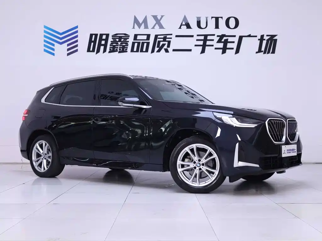 BMW X3 — миниатюра 5