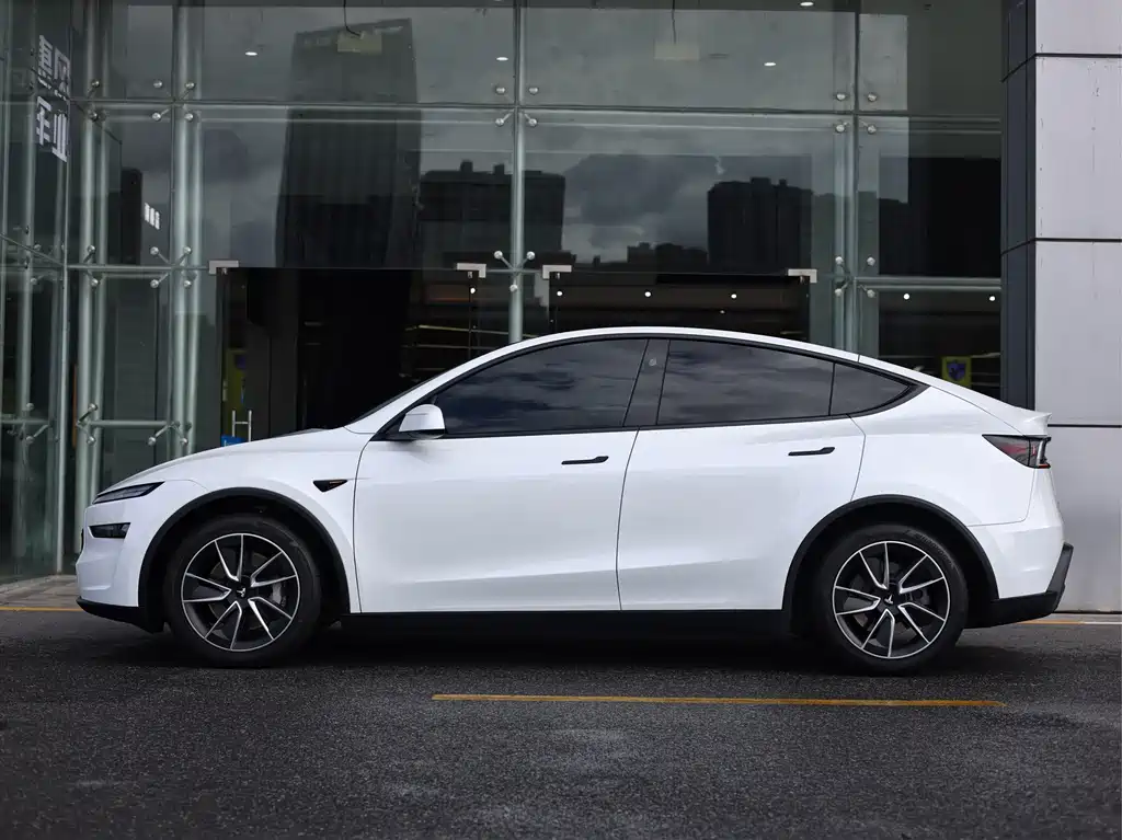 Tesla Model Y — миниатюра 7