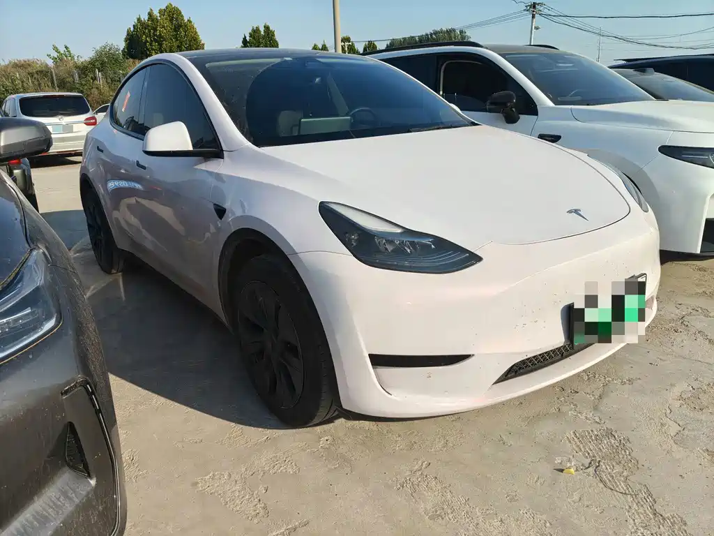 Tesla Model Y — миниатюра 3