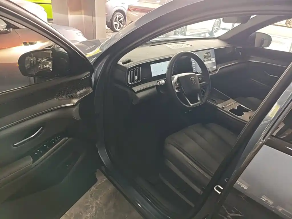 BYD Pro New Energy — миниатюра 16