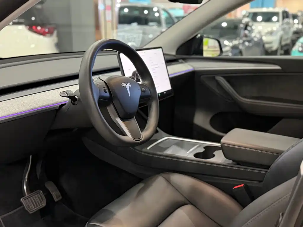 Tesla Model Y — миниатюра 4