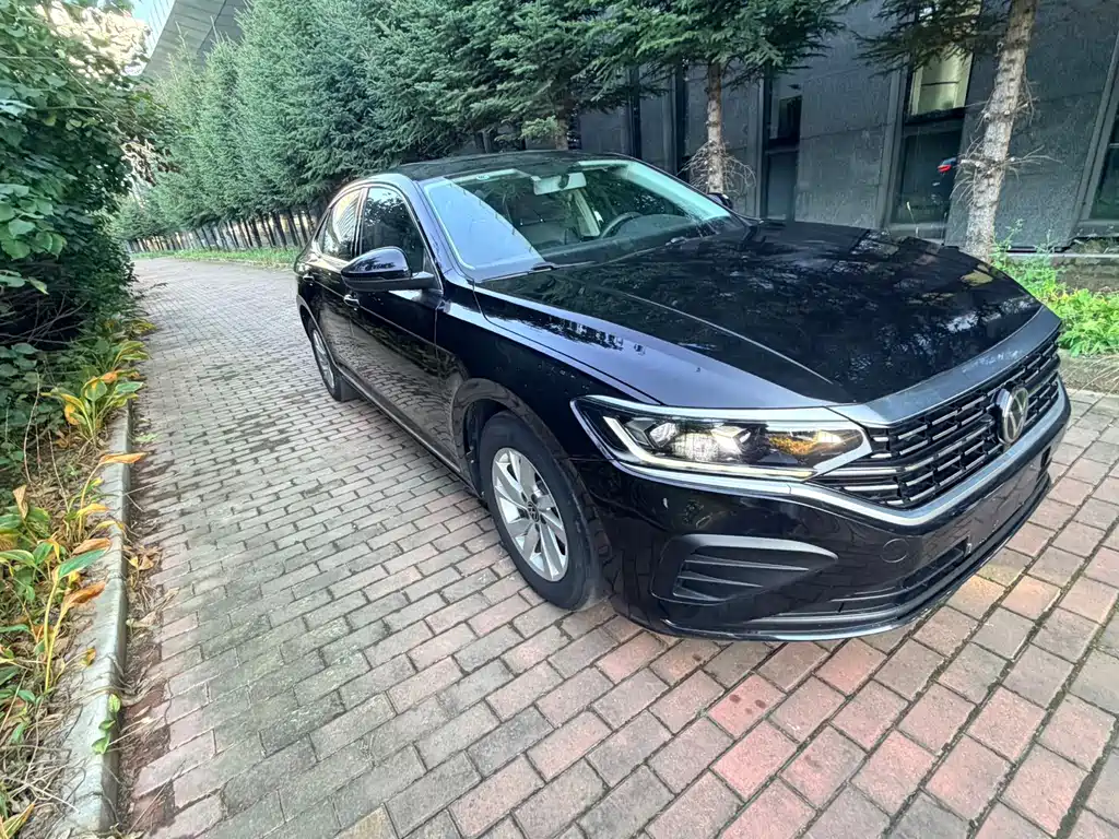 Volkswagen Passat — миниатюра 3