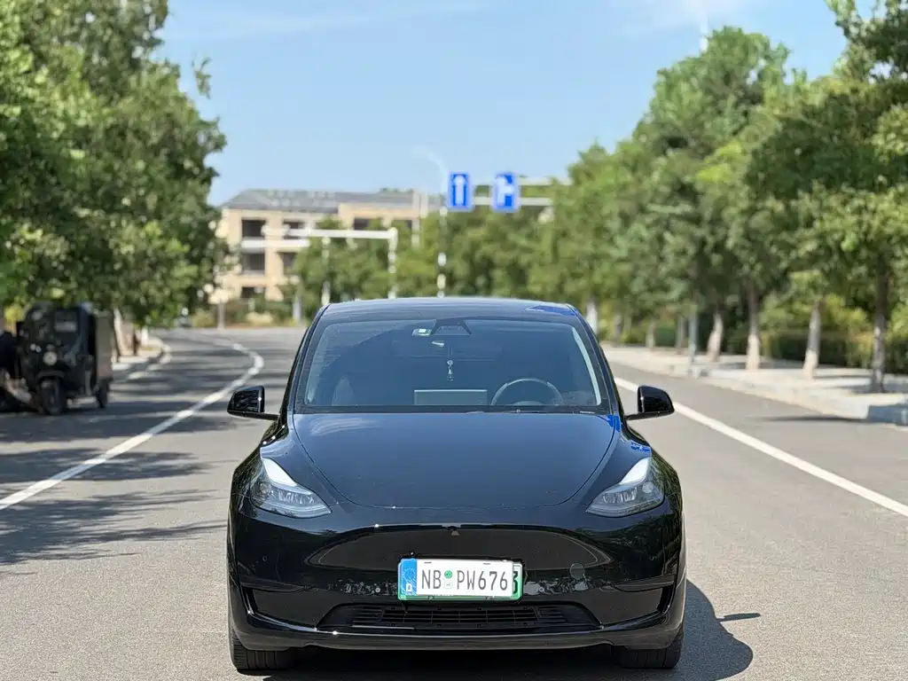 Tesla Model Y — миниатюра 2