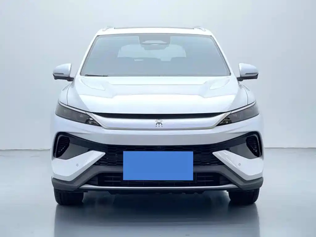 BYD Pro — миниатюра 2