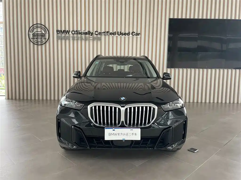 BMW X5 — миниатюра 2