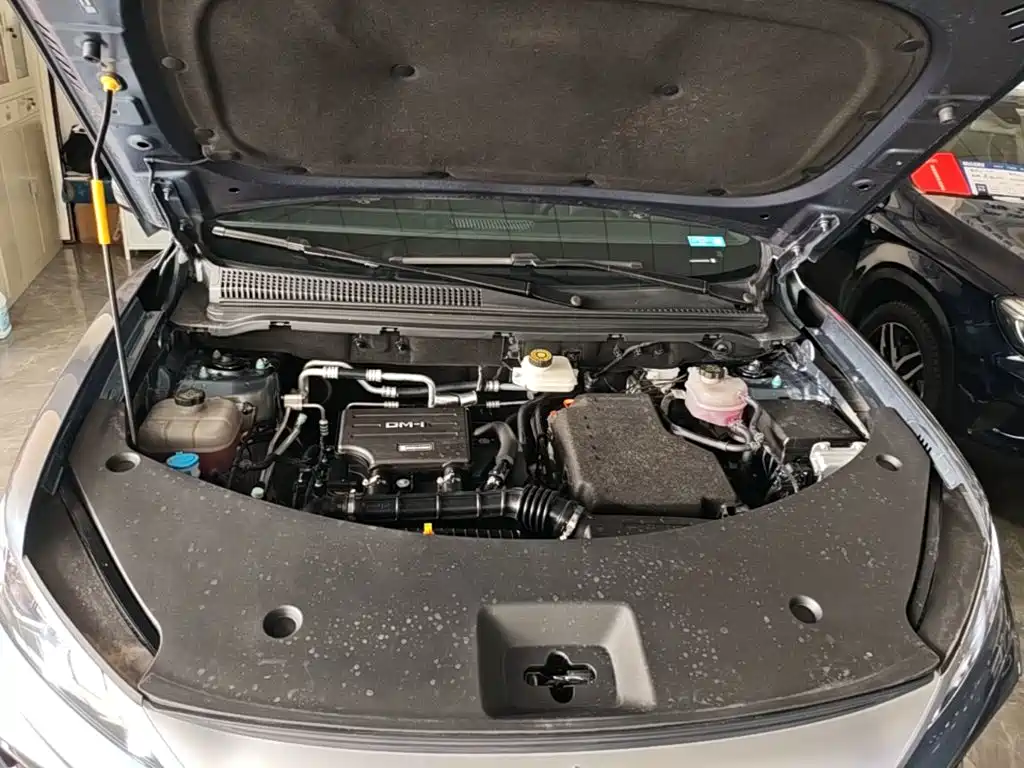 BYD Pro New Energy — миниатюра 20