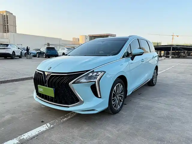 Dongfeng Forthing Forthing Yacht