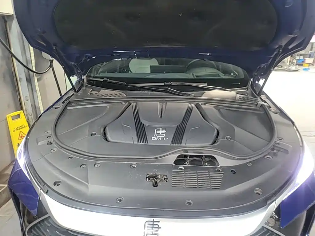 BYD Tang New Energy — миниатюра 20