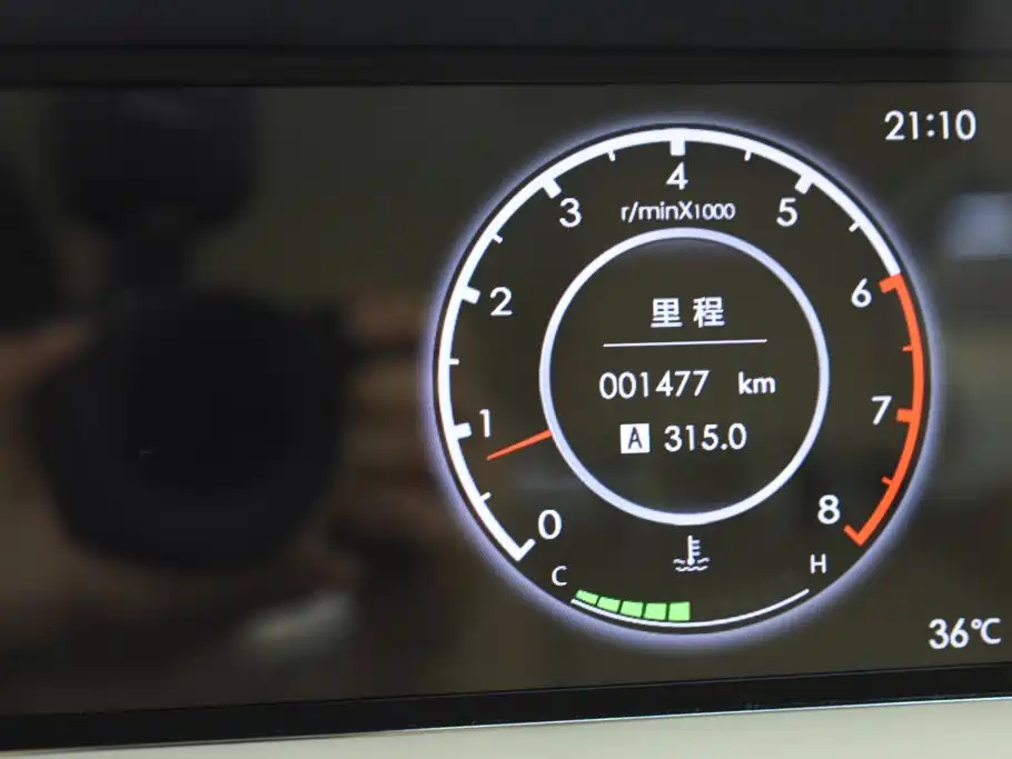 Hongqi Hongqi Golden Sunflower Guoli — миниатюра 28