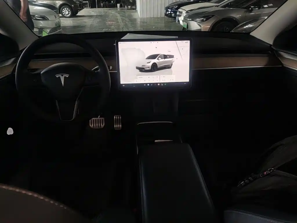 Tesla Model Y — миниатюра 10