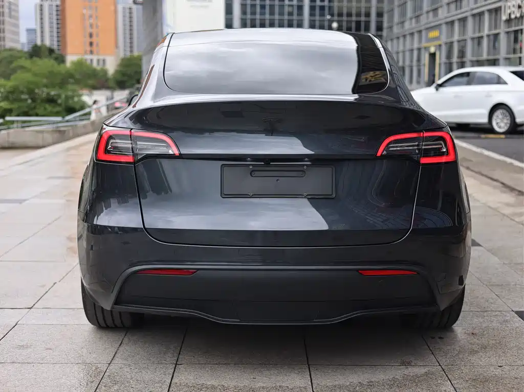 Tesla Model Y — миниатюра 4
