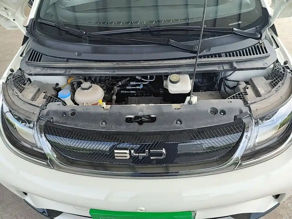 BYD Dolphin — миниатюра 20