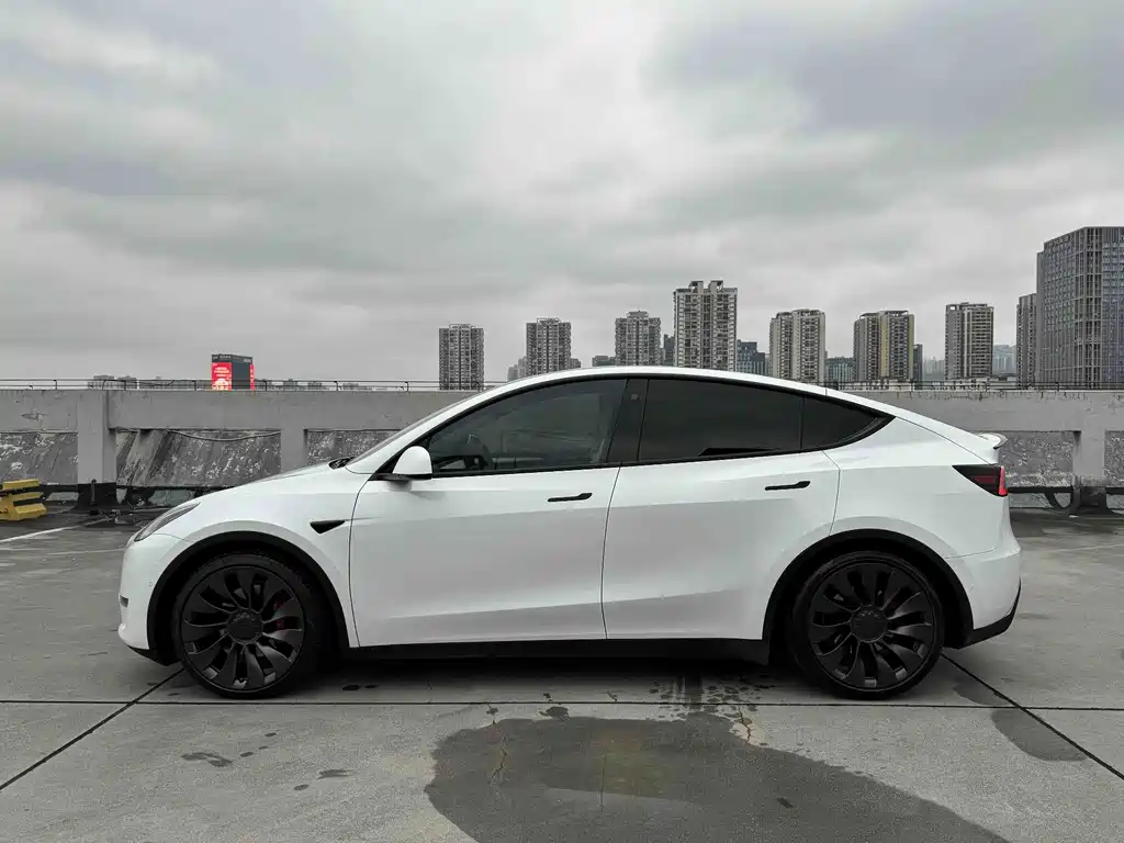 Tesla Model Y — миниатюра 9