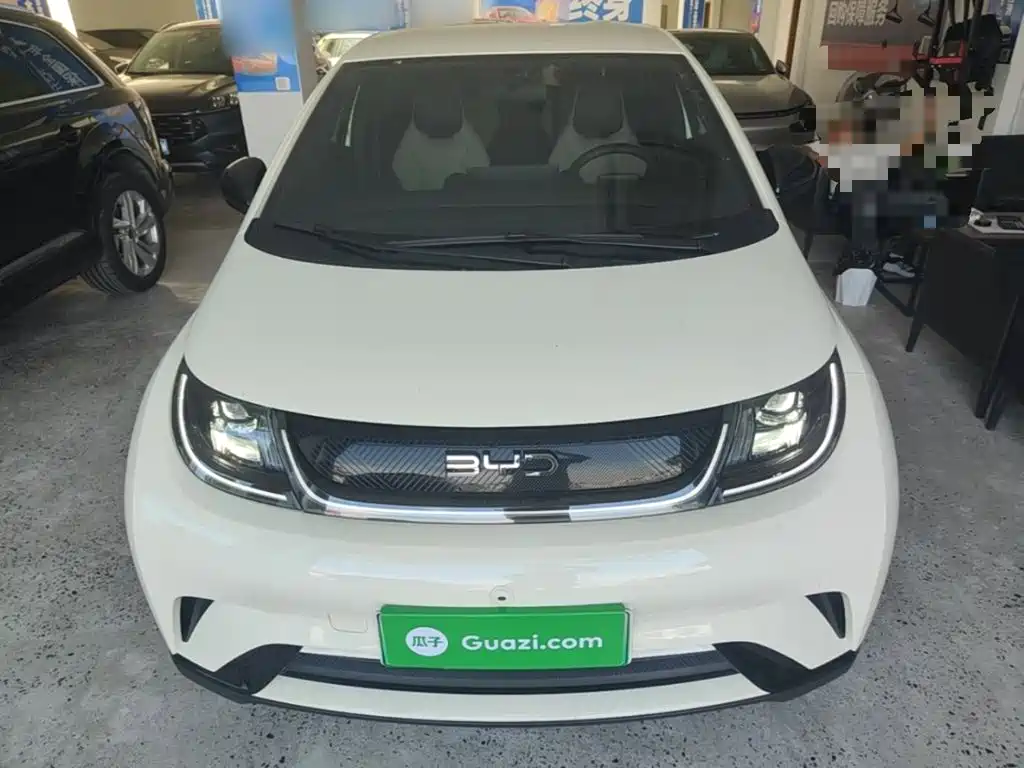 BYD Dolphin — миниатюра 3