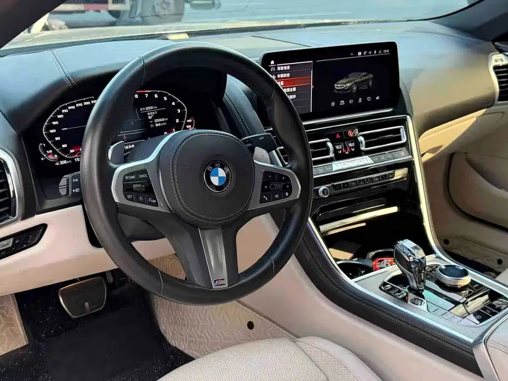 BMW 8 Series — миниатюра 7
