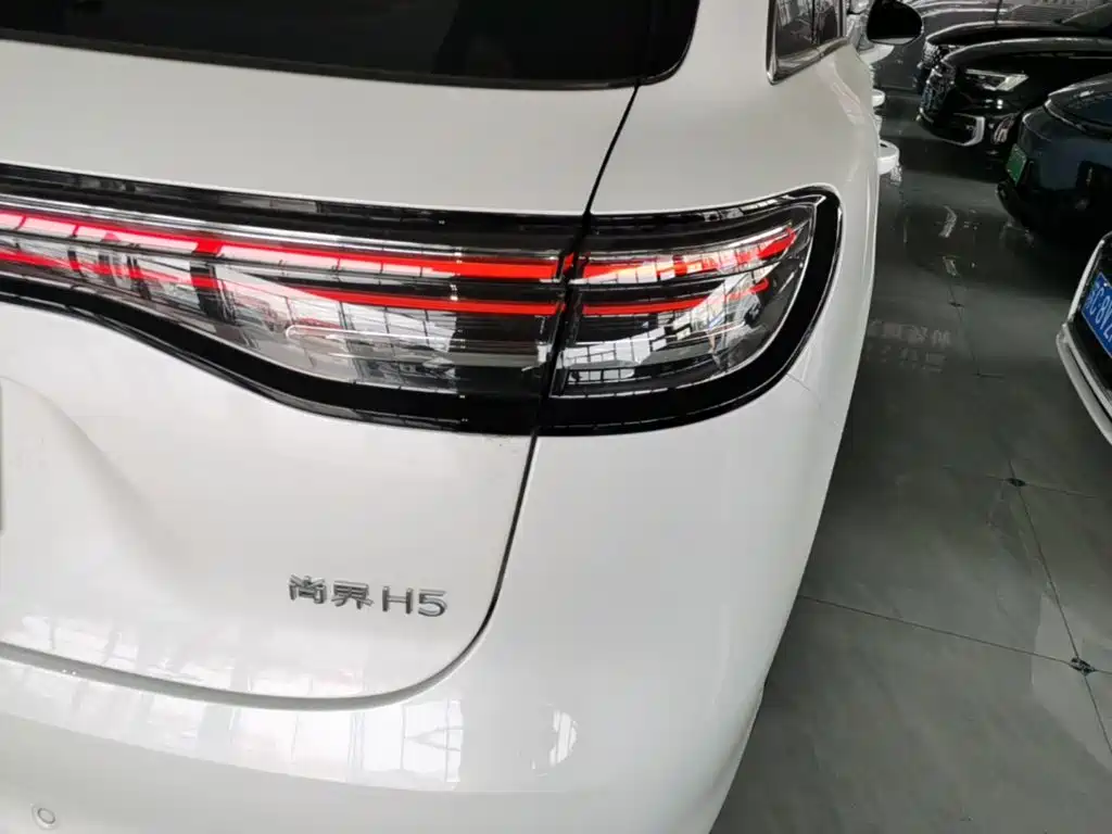 Сангтан Sangtang H5 — миниатюра 8