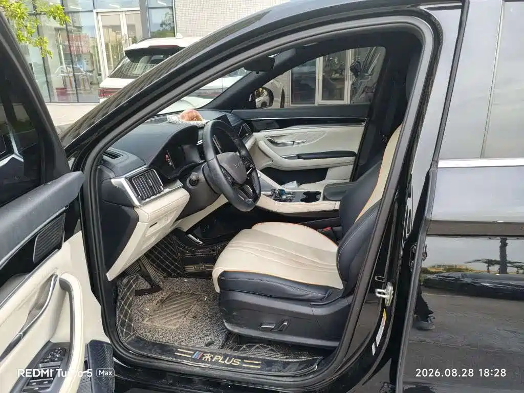 BYD PLUS New Energy — миниатюра 6