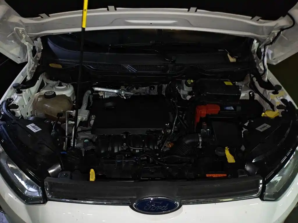 Ford Ecosport — миниатюра 11