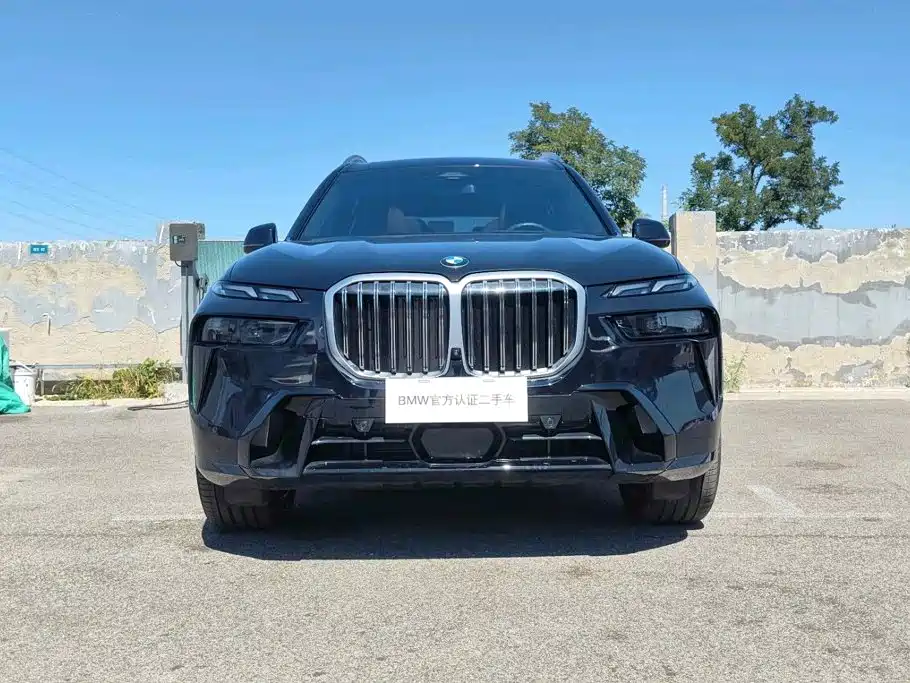 BMW X7 — миниатюра 2