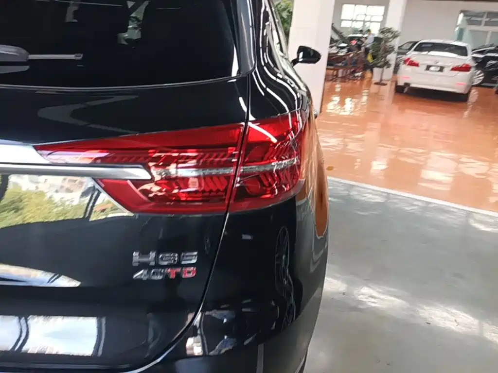 Hongqi Hongqi HS5 — миниатюра 8