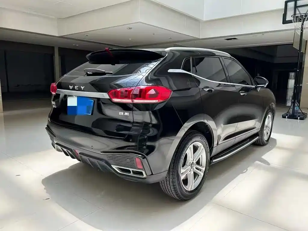 WEI PAI WEI BRAND VV5