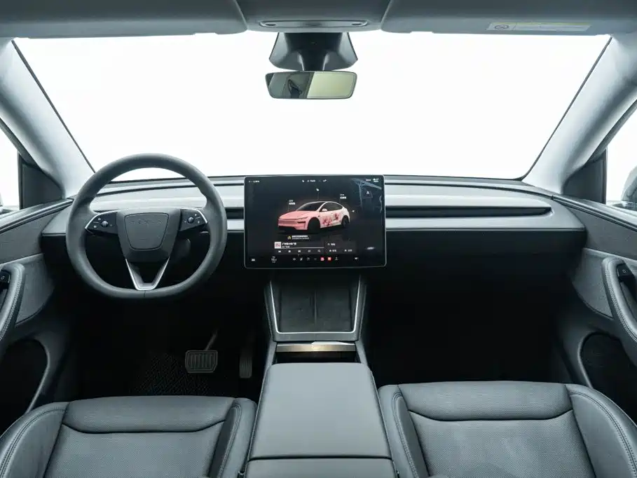Tesla Model Y — миниатюра 16