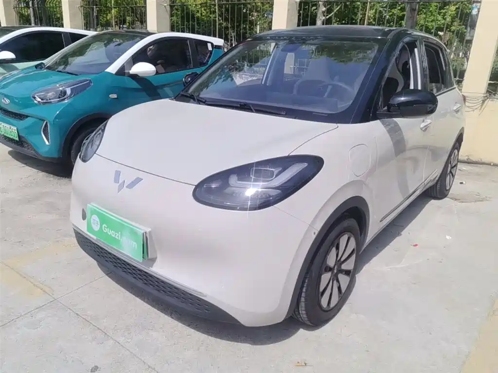 Wuling Bingo 2024