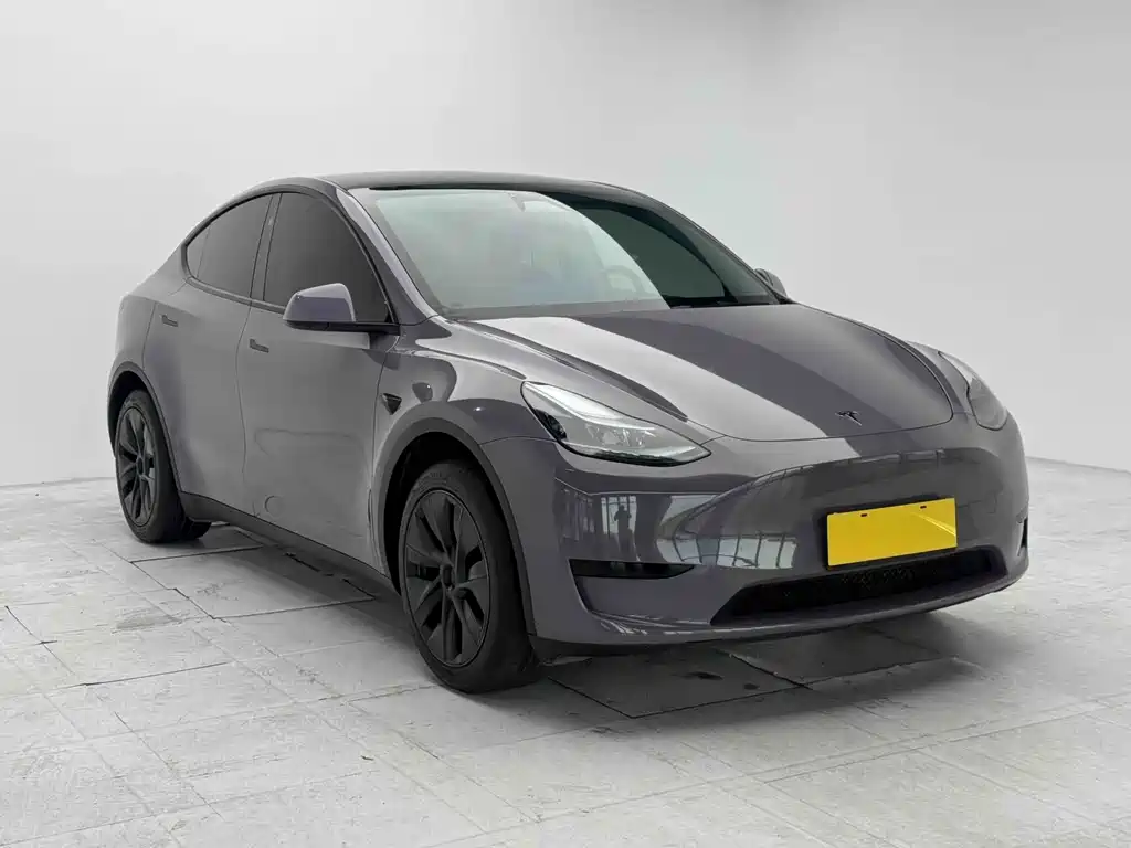 Tesla Model Y — миниатюра 2
