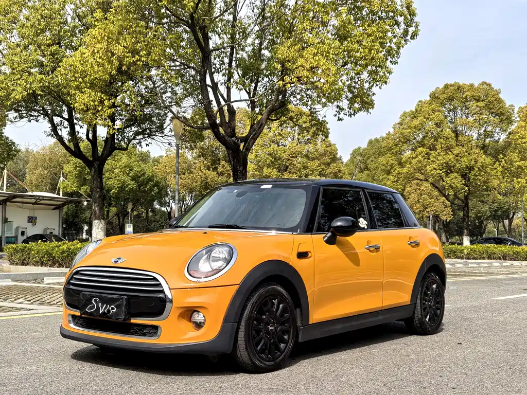 Mini Mini 2018