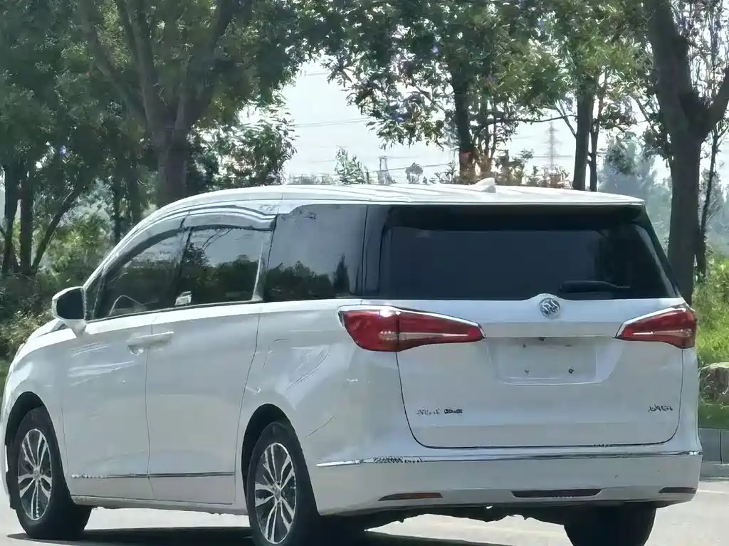 Buick GL8 — миниатюра 5