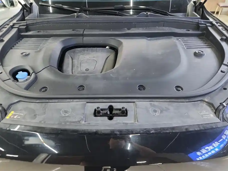 WEI PAI WEI BRAND BLUE MOUNTAIN