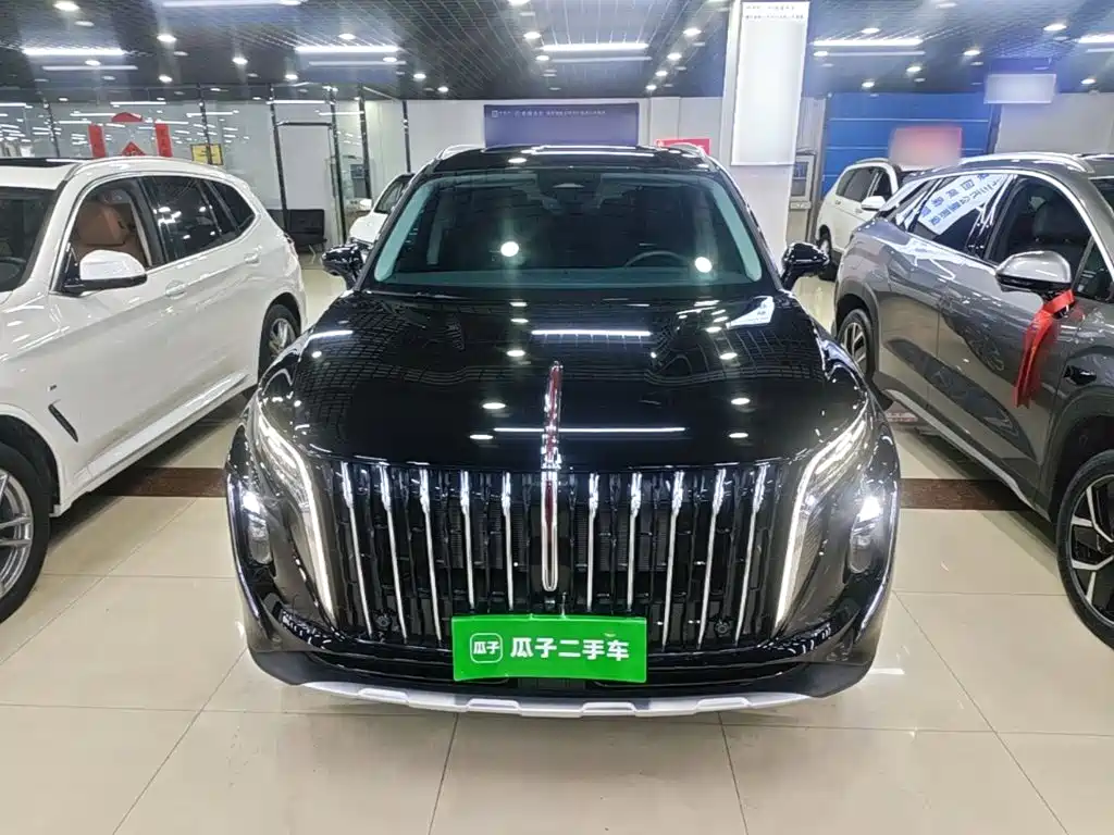 Hongqi Hongqi HS7 PHEV — миниатюра 3