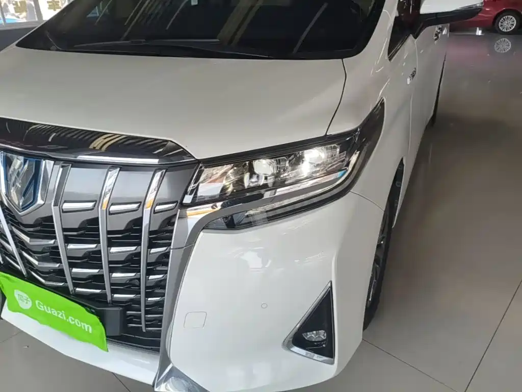 Toyota Alphard — миниатюра 24