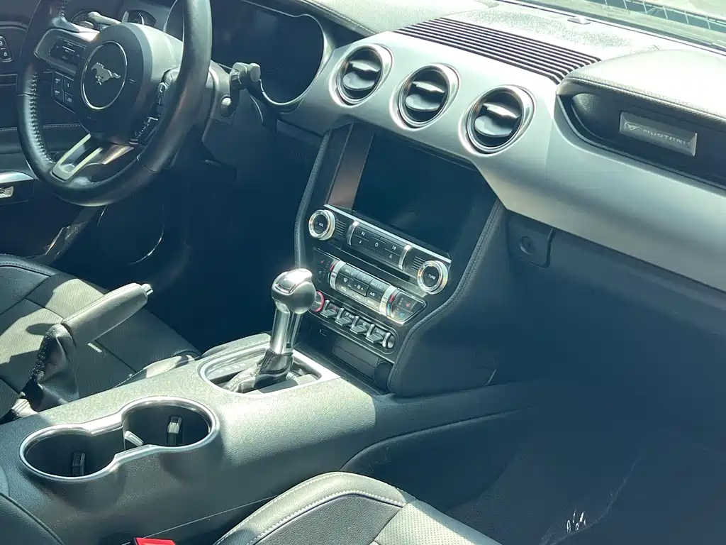 Ford Mustang — миниатюра 11