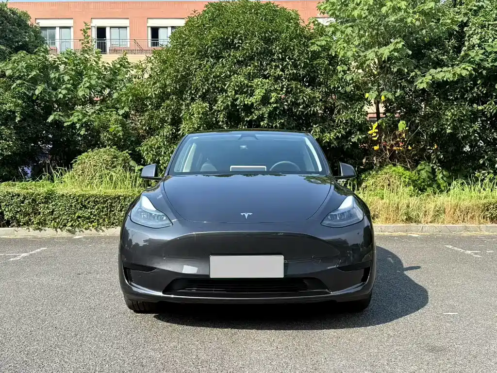 Tesla Model Y — миниатюра 2