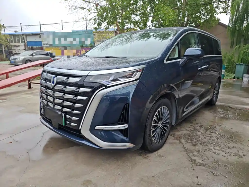Denza Denza D9 — миниатюра 2