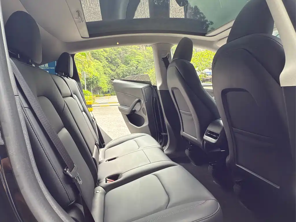 Tesla Model Y — миниатюра 8