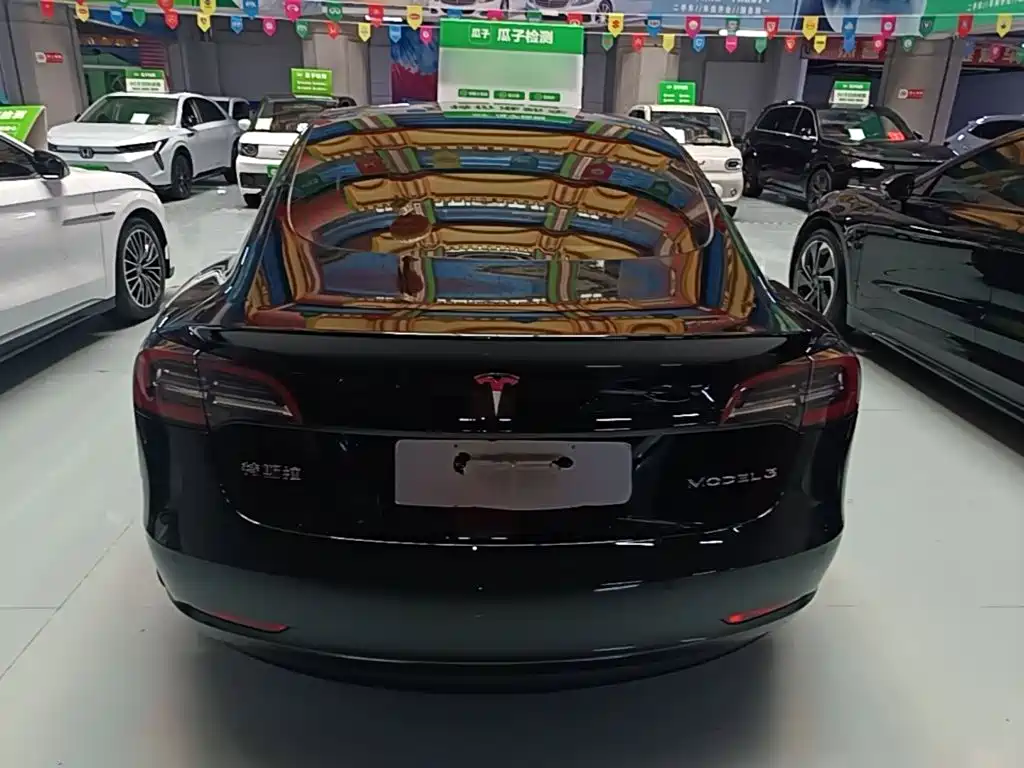 Tesla Model 3 — миниатюра 6