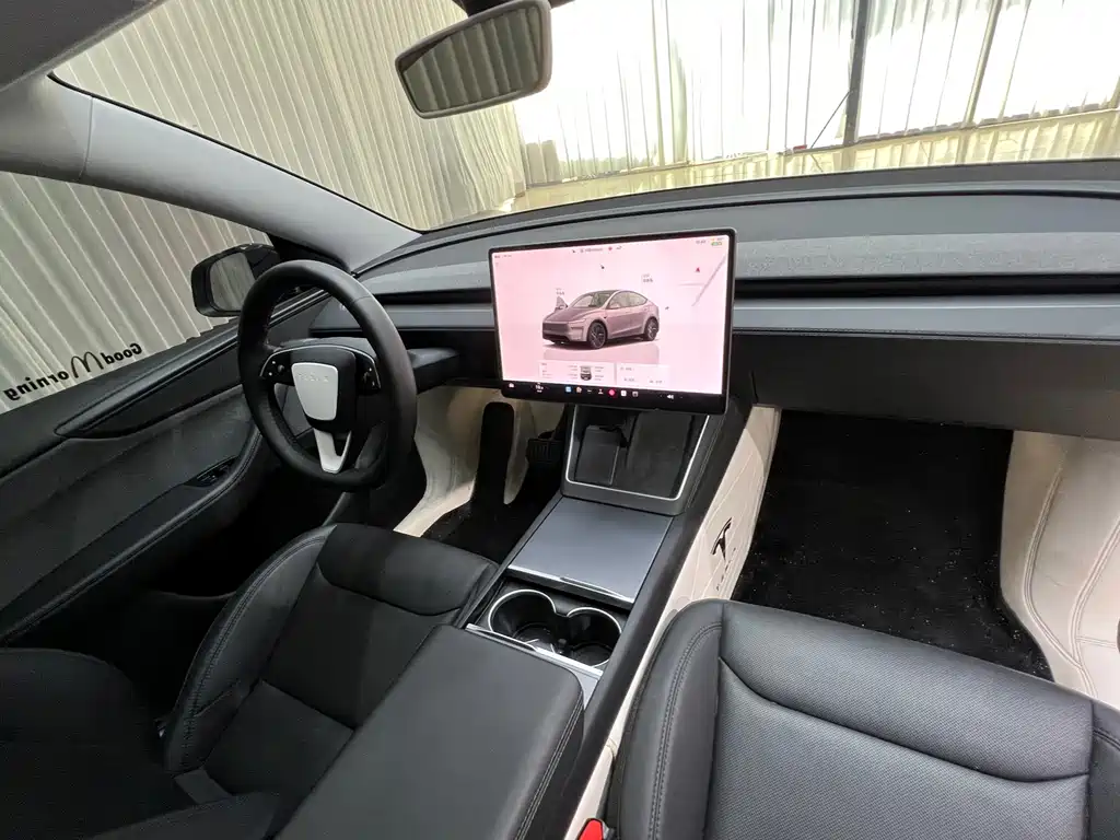 Tesla Model Y — миниатюра 20