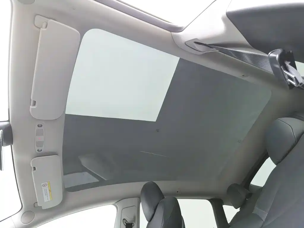 Tesla Model Y — миниатюра 14