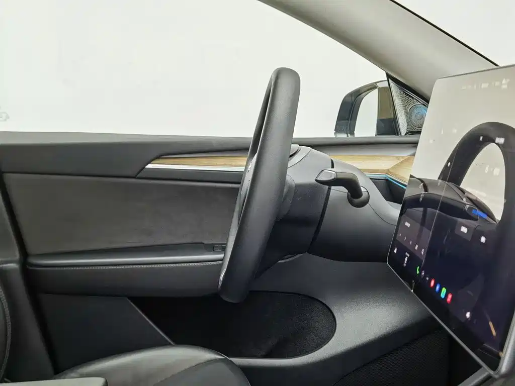 Tesla Model Y — миниатюра 22