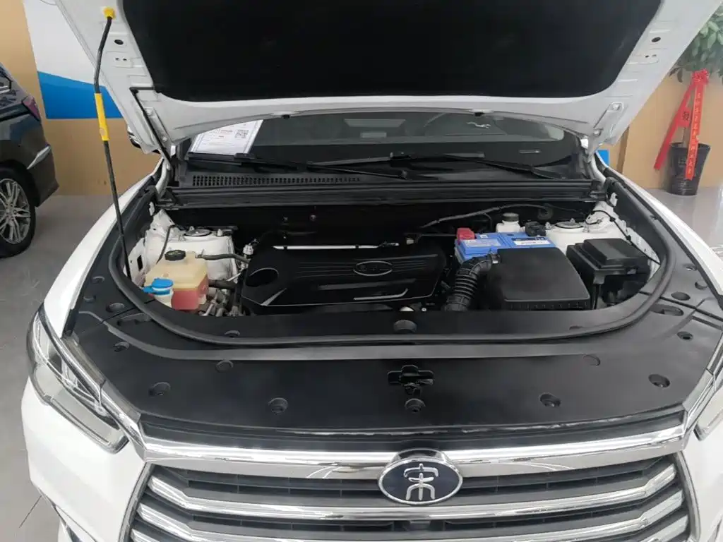 BYD Pro — миниатюра 20