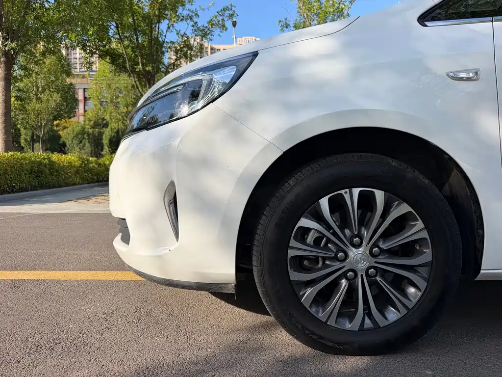 Buick GL8 — миниатюра 5
