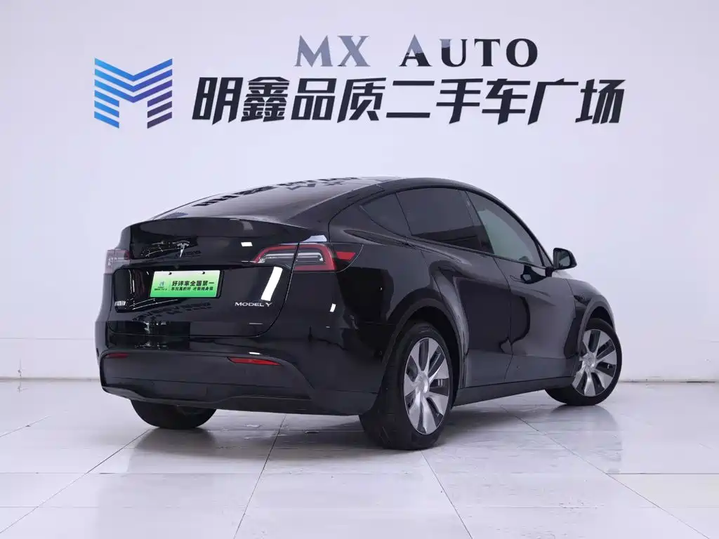 Tesla Model Y — миниатюра 7