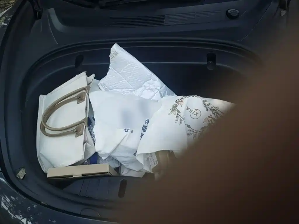 Tesla Model 3 — миниатюра 25