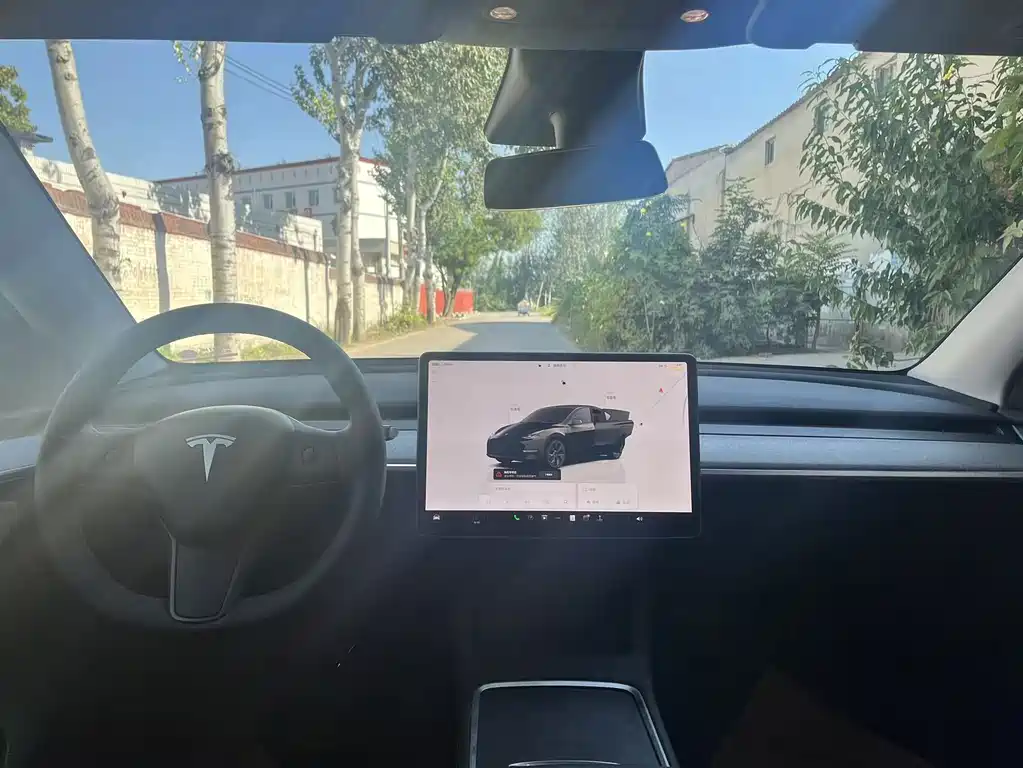 Tesla Model Y — миниатюра 9