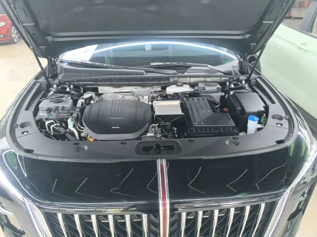 Hongqi Hongqi H5 PHEV — миниатюра 20